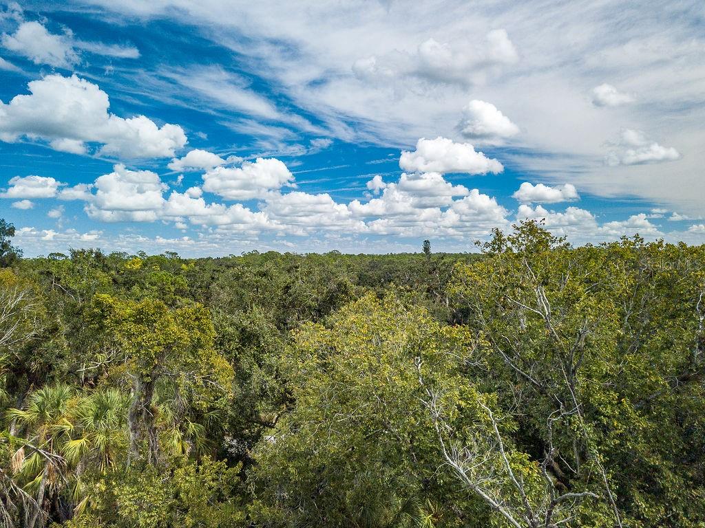 Listing Image #5
