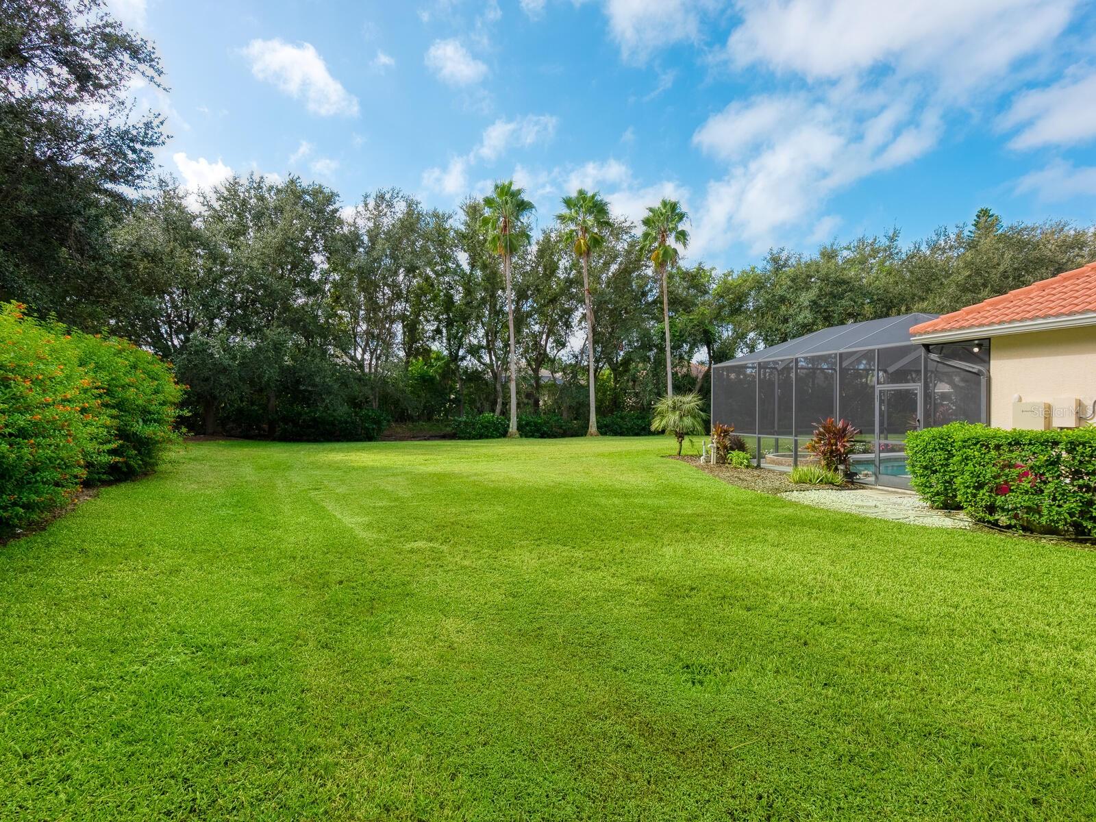Listing Image #6