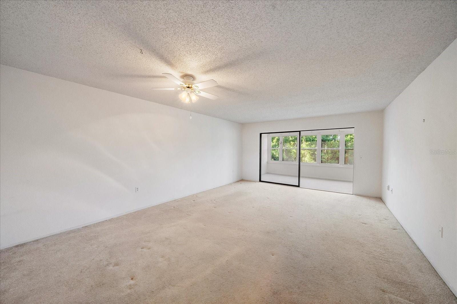 Listing Image #12