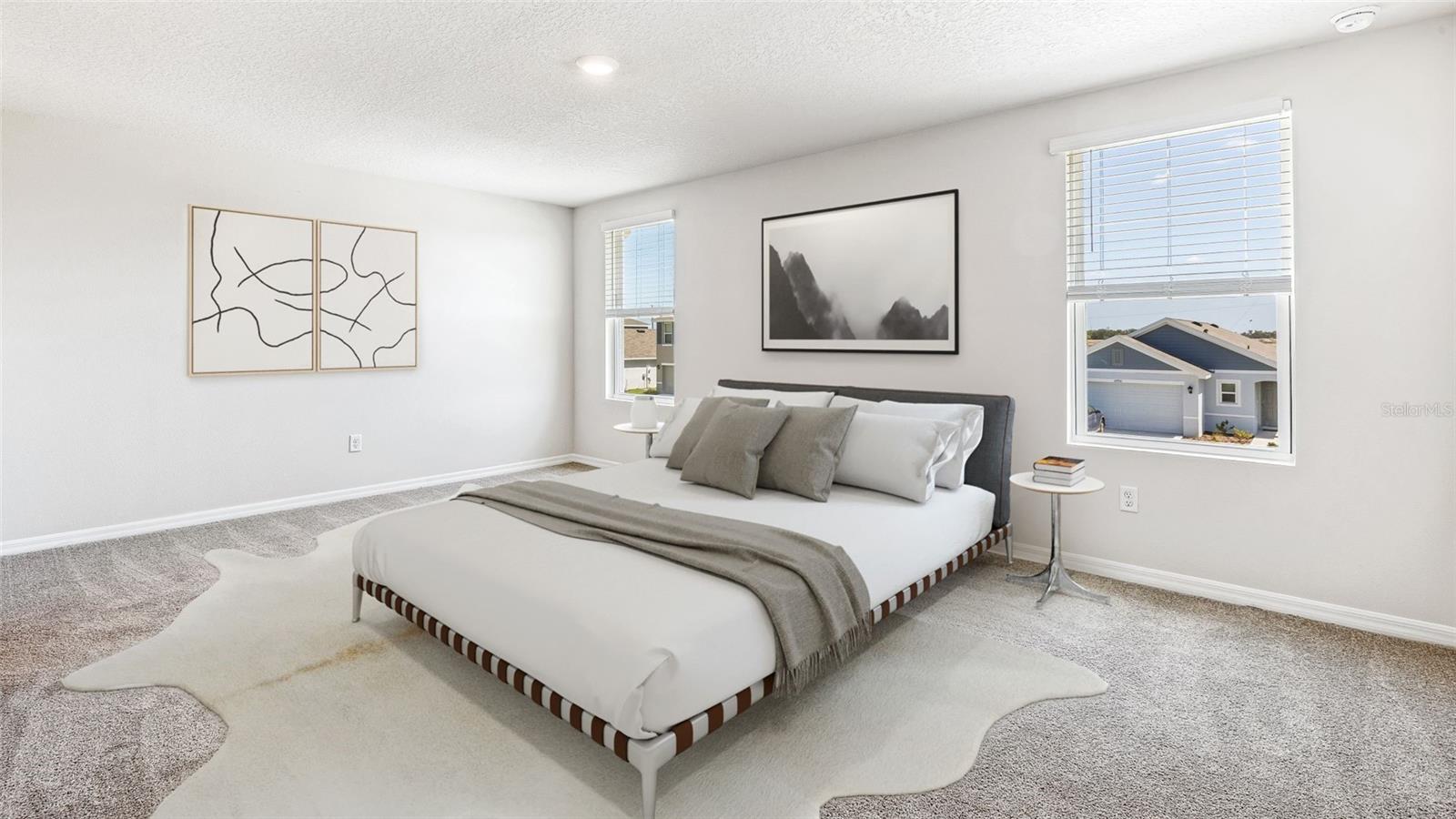 Listing Image #13