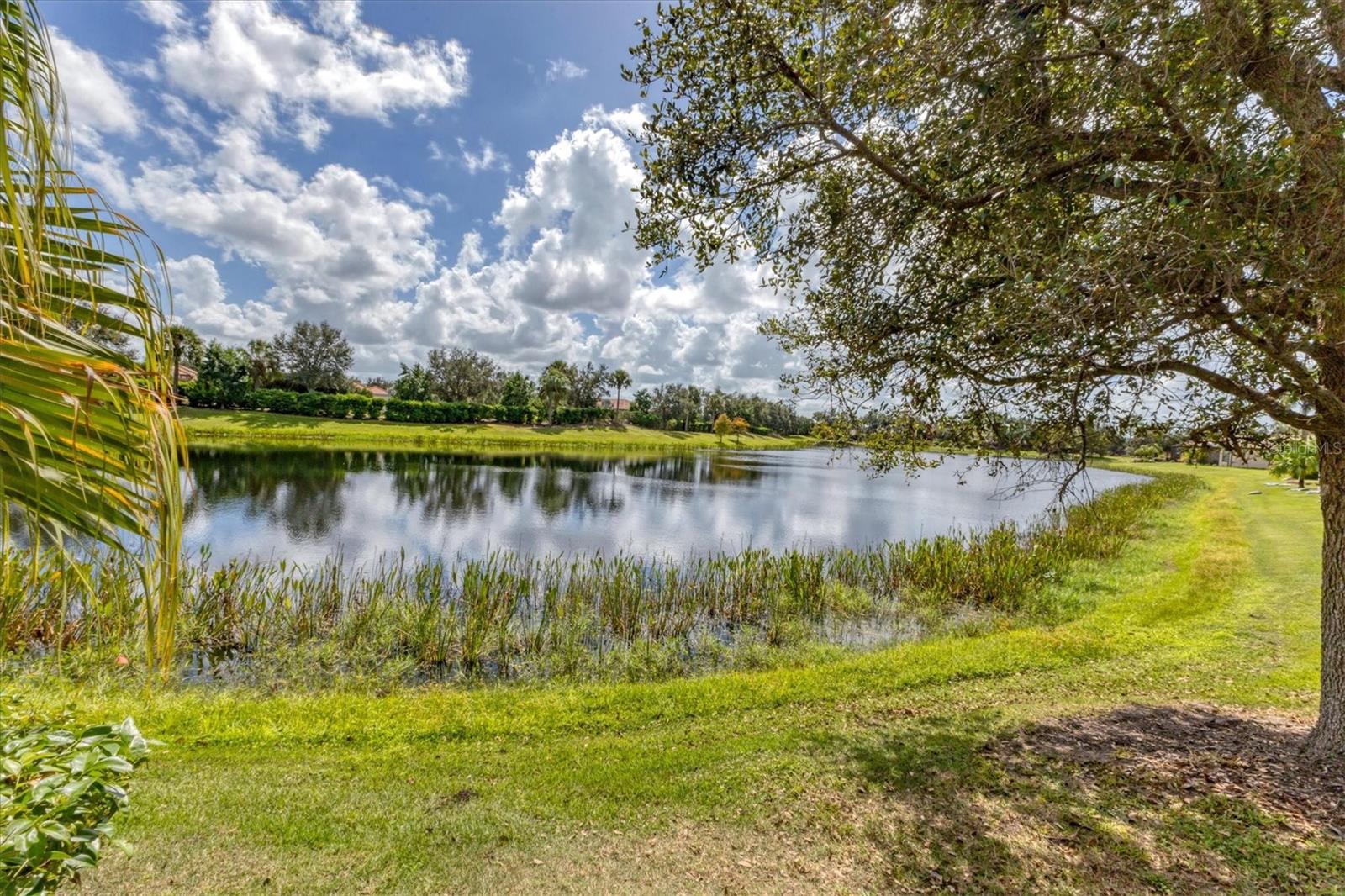 Listing Image #8