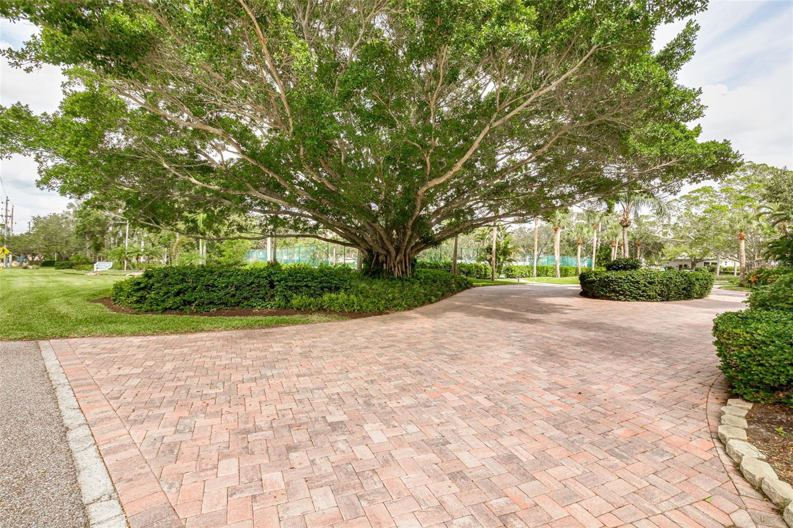Listing Image #7
