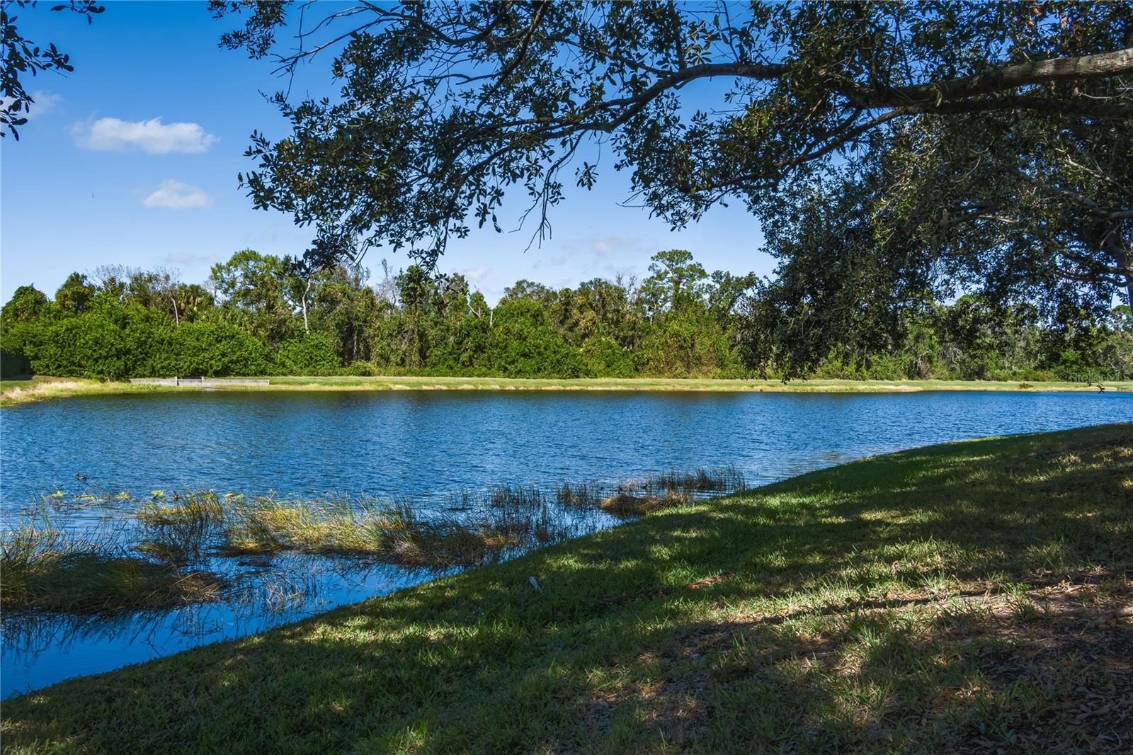 Listing Image #4