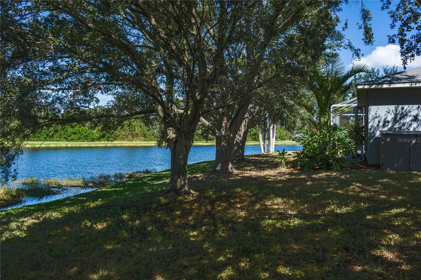 Listing Image #29