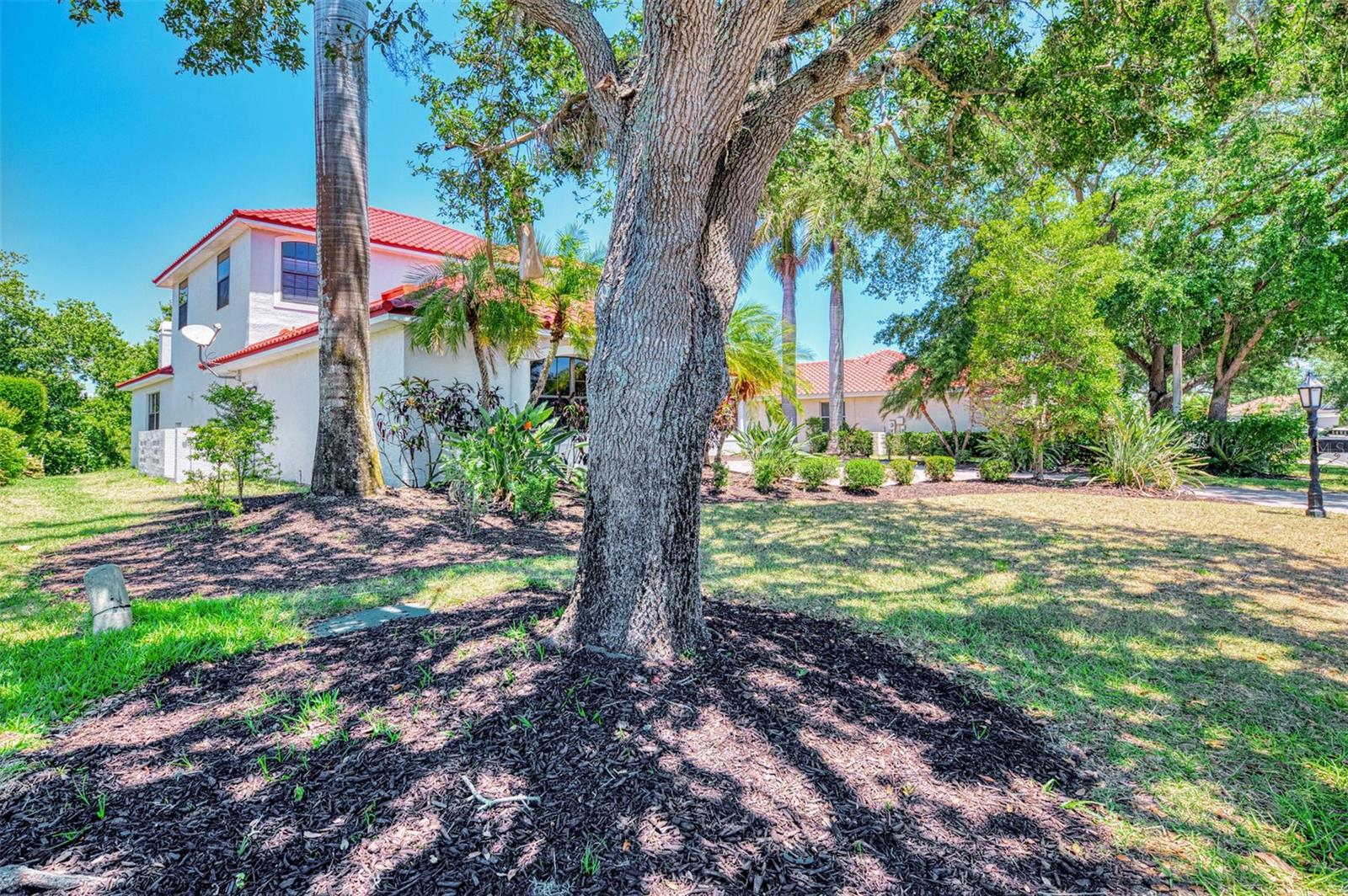 Listing Image #5