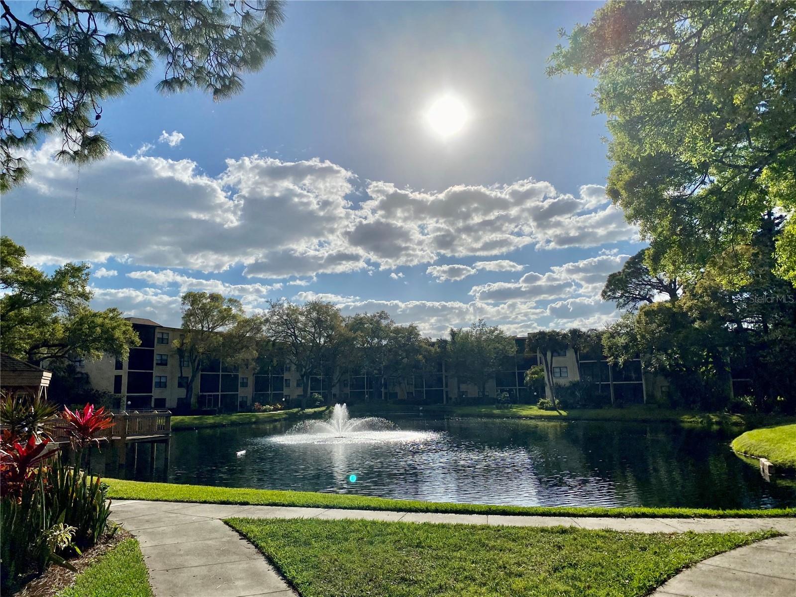 Listing Image #5