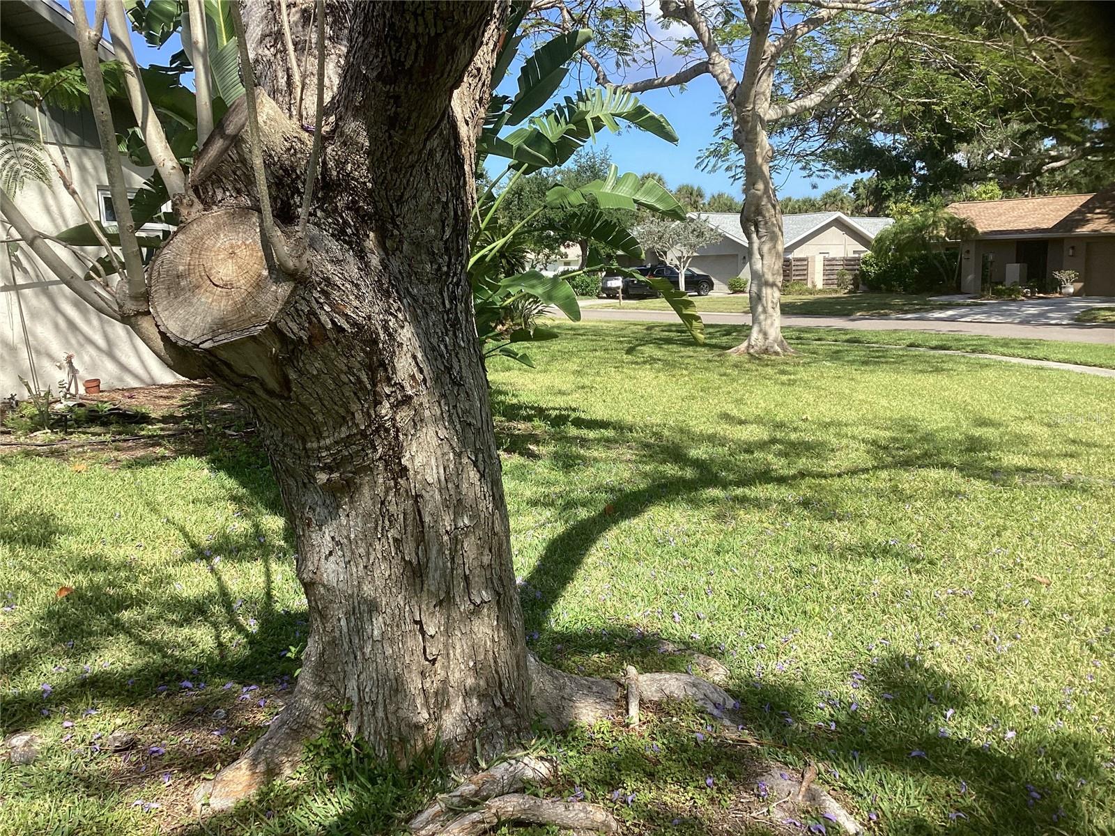 Listing Image #4