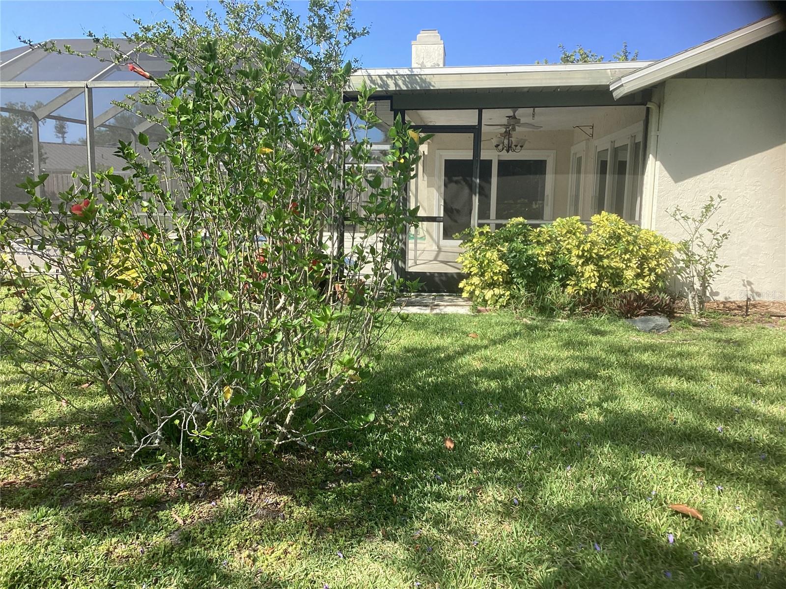 Listing Image #37