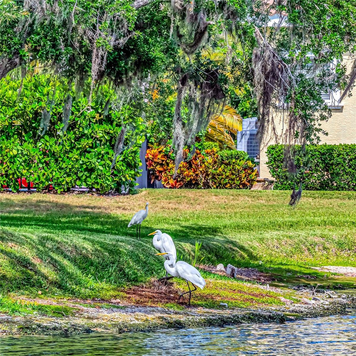 Listing Image #24