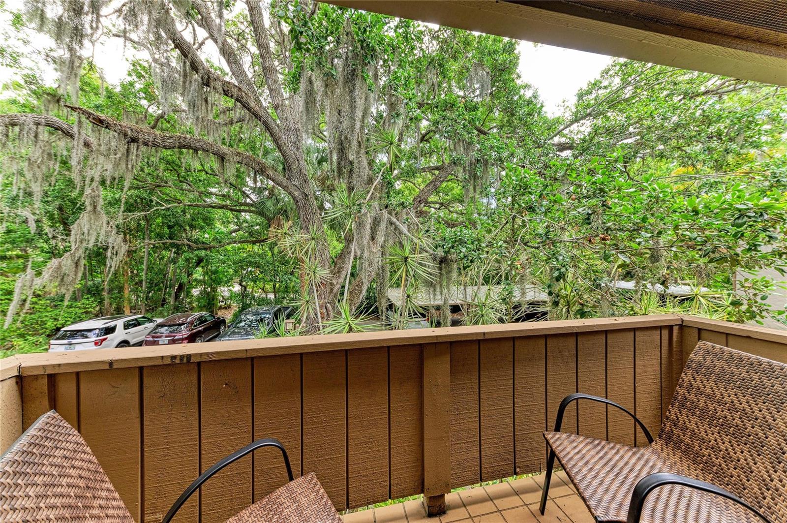 Listing Image #36