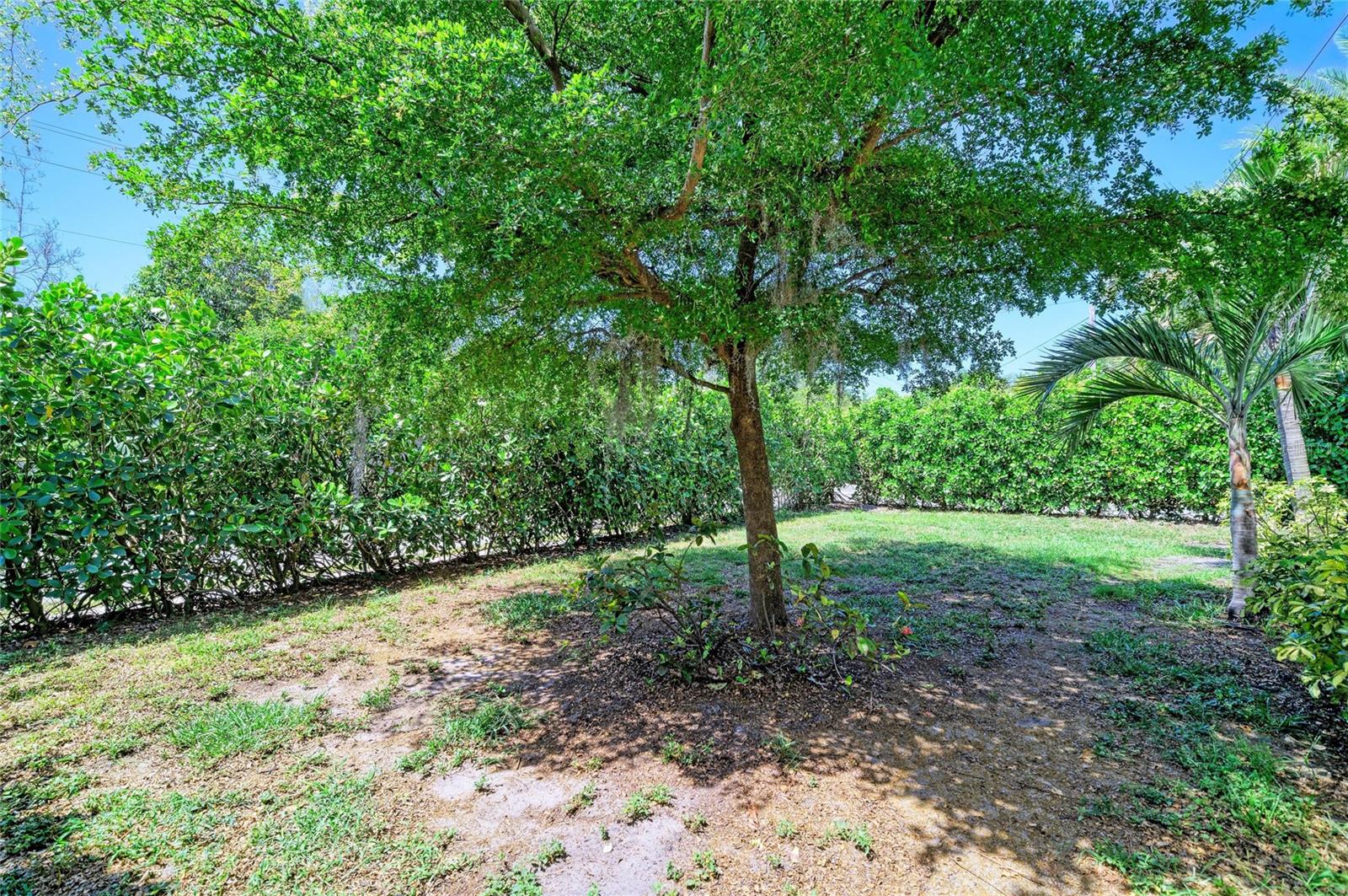 Listing Image #33