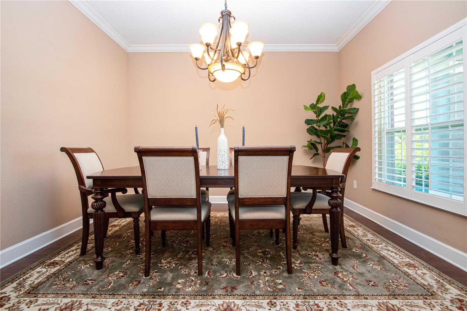 Listing Image #14