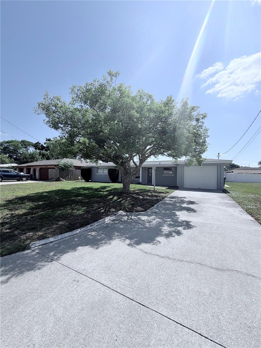 Listing Image #2