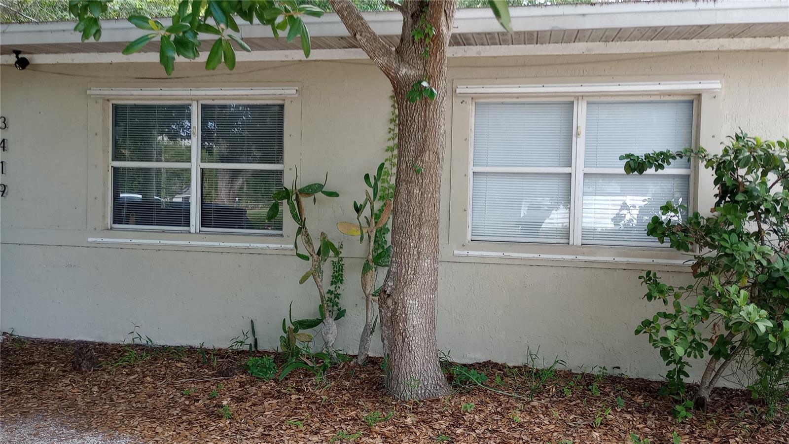Listing Image #4