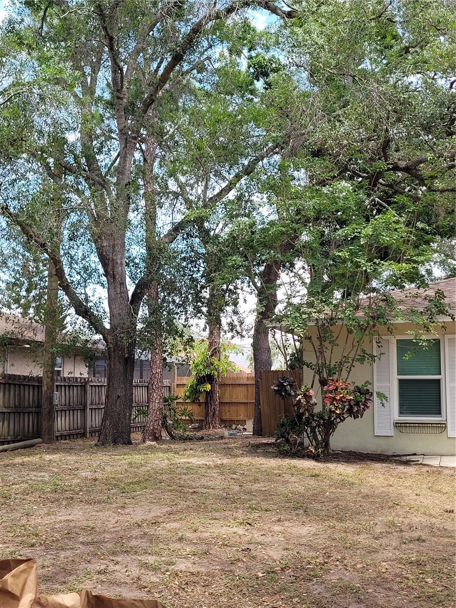 Listing Image #4