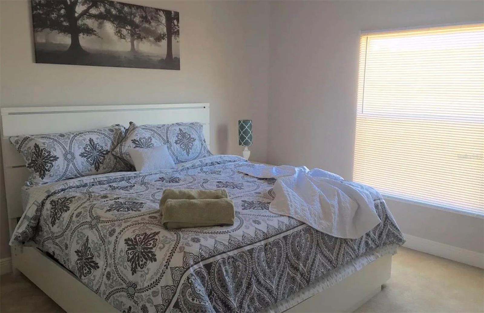 Listing Image #18