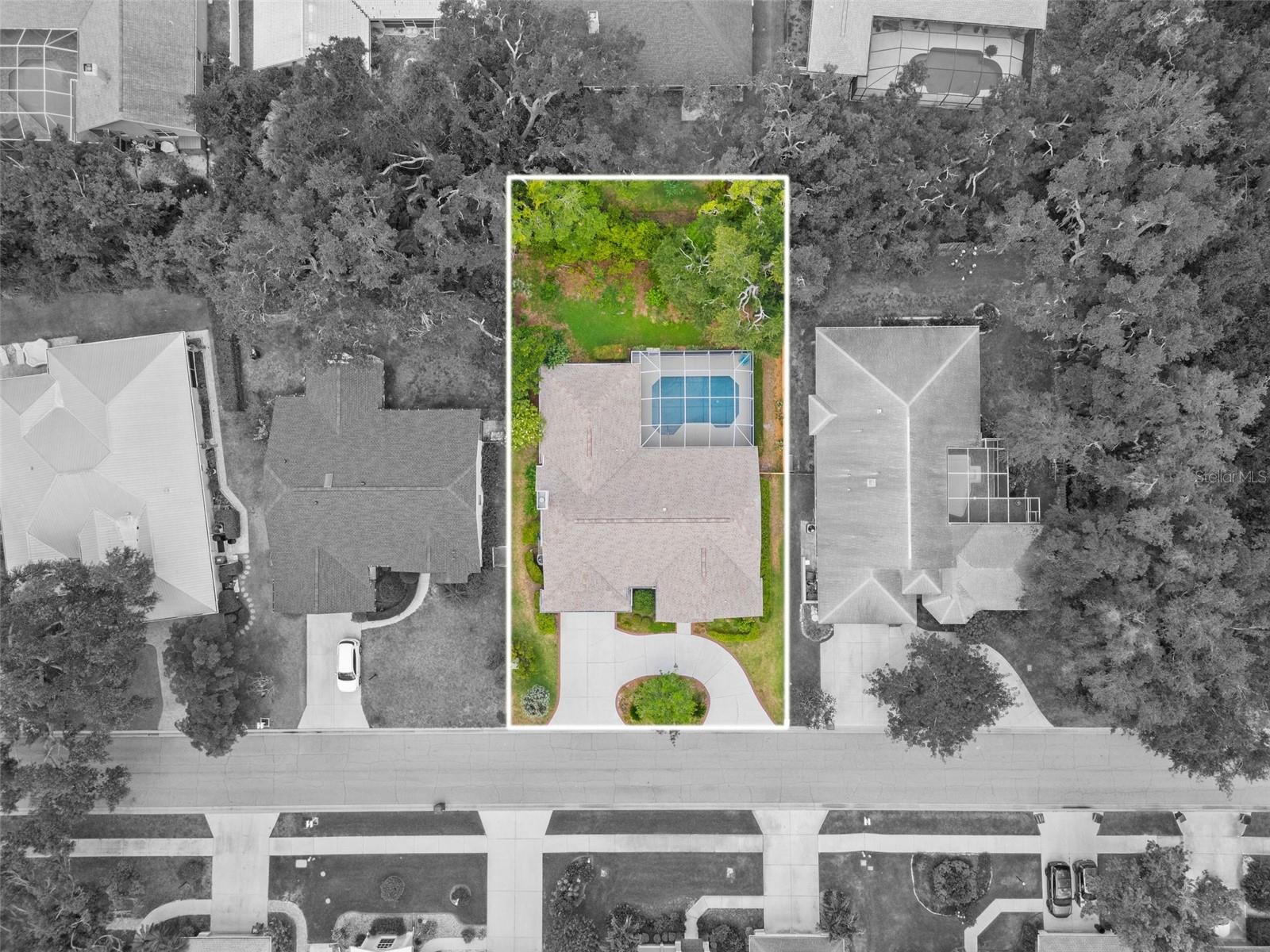 Listing Image #6