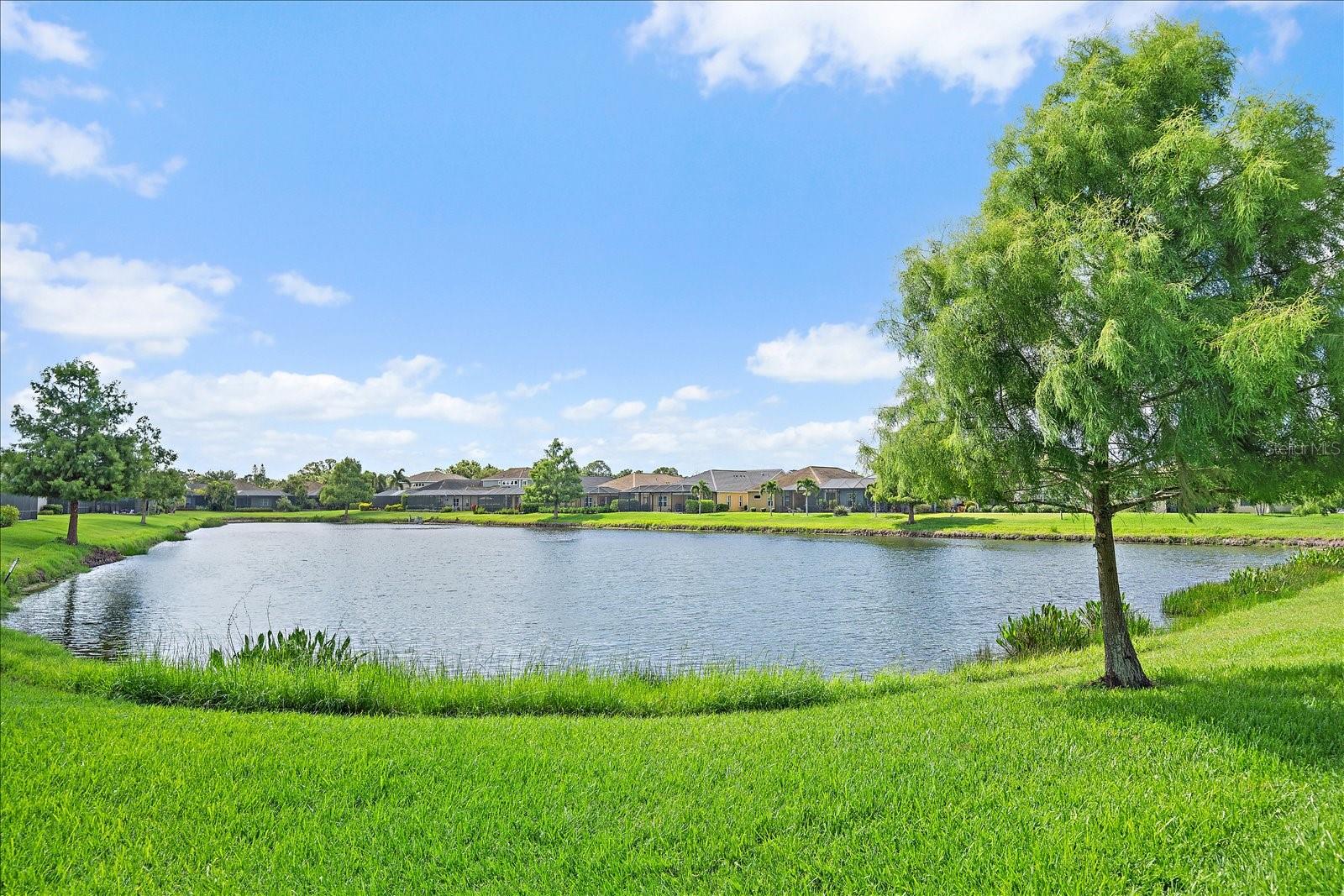 Listing Image #5