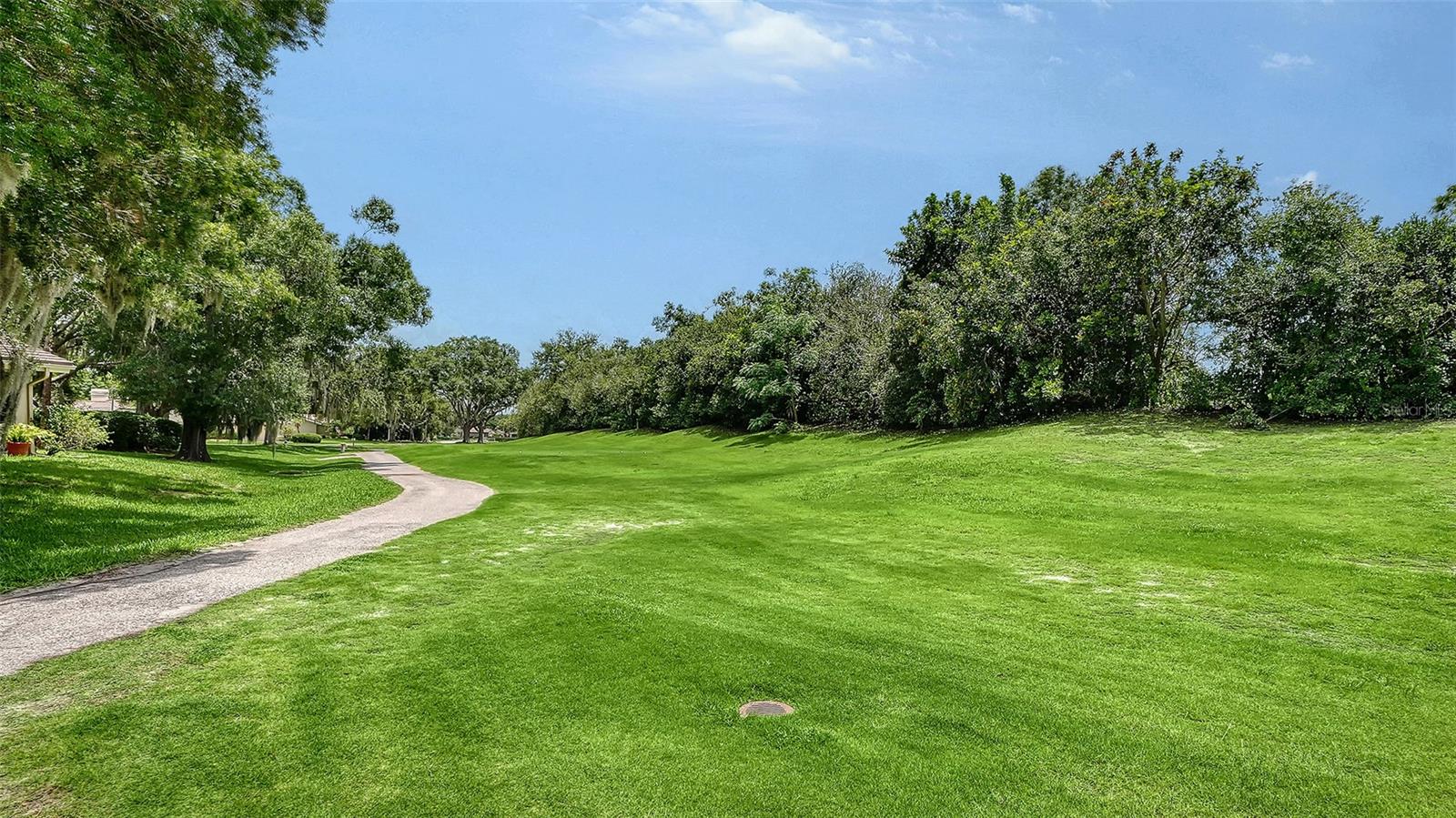 Listing Image #5