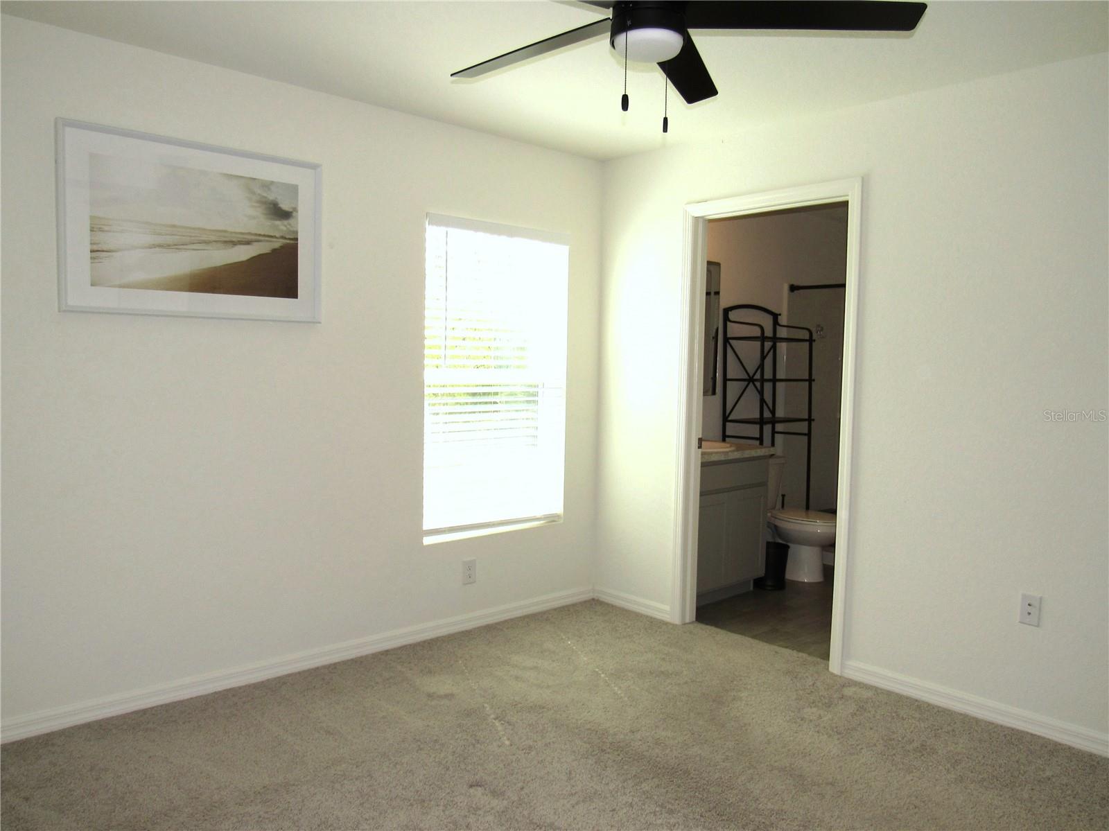 Listing Image #11