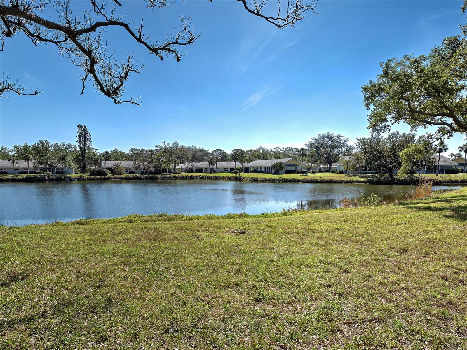 Listing Image #6