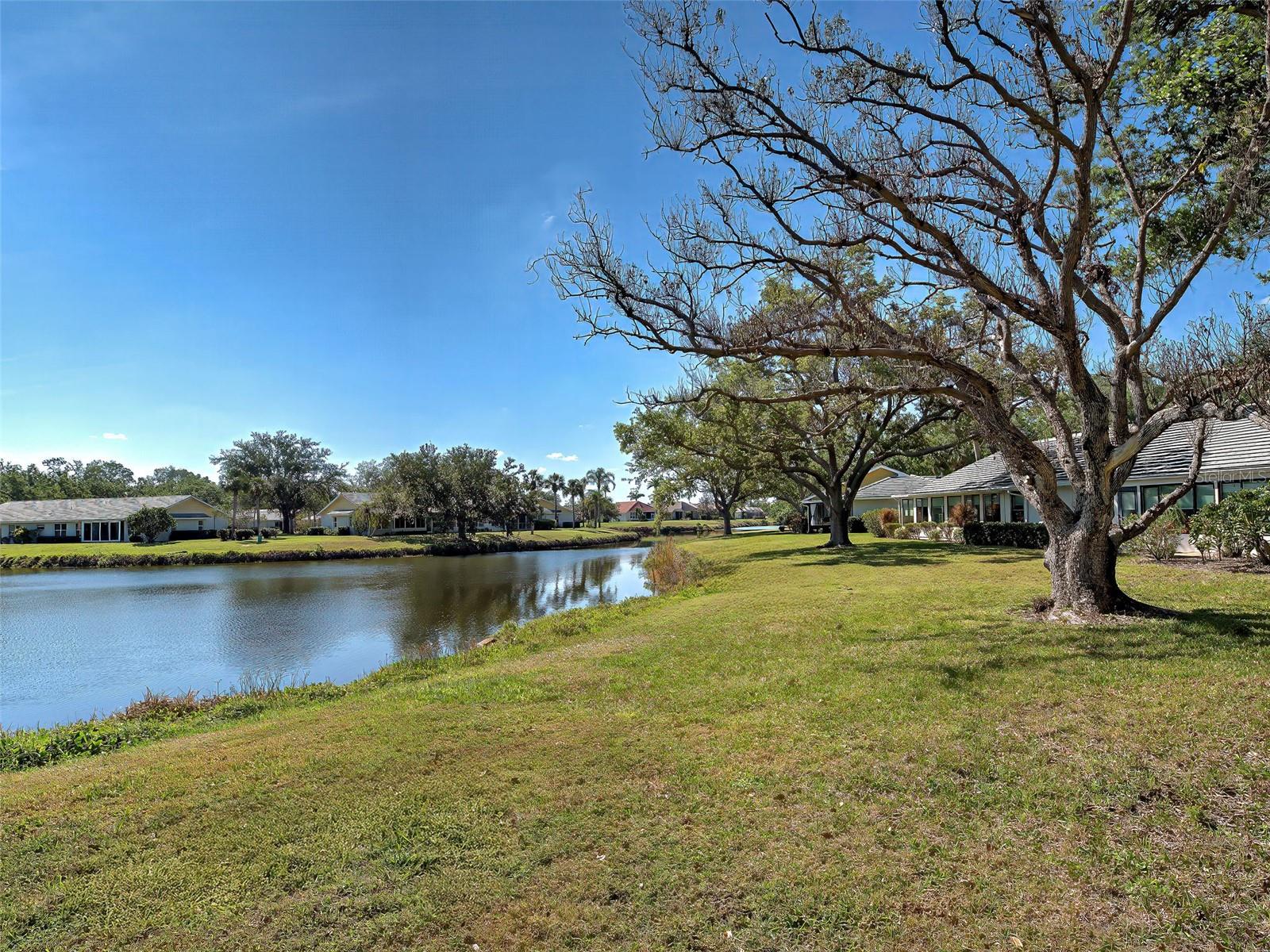 Listing Image #7