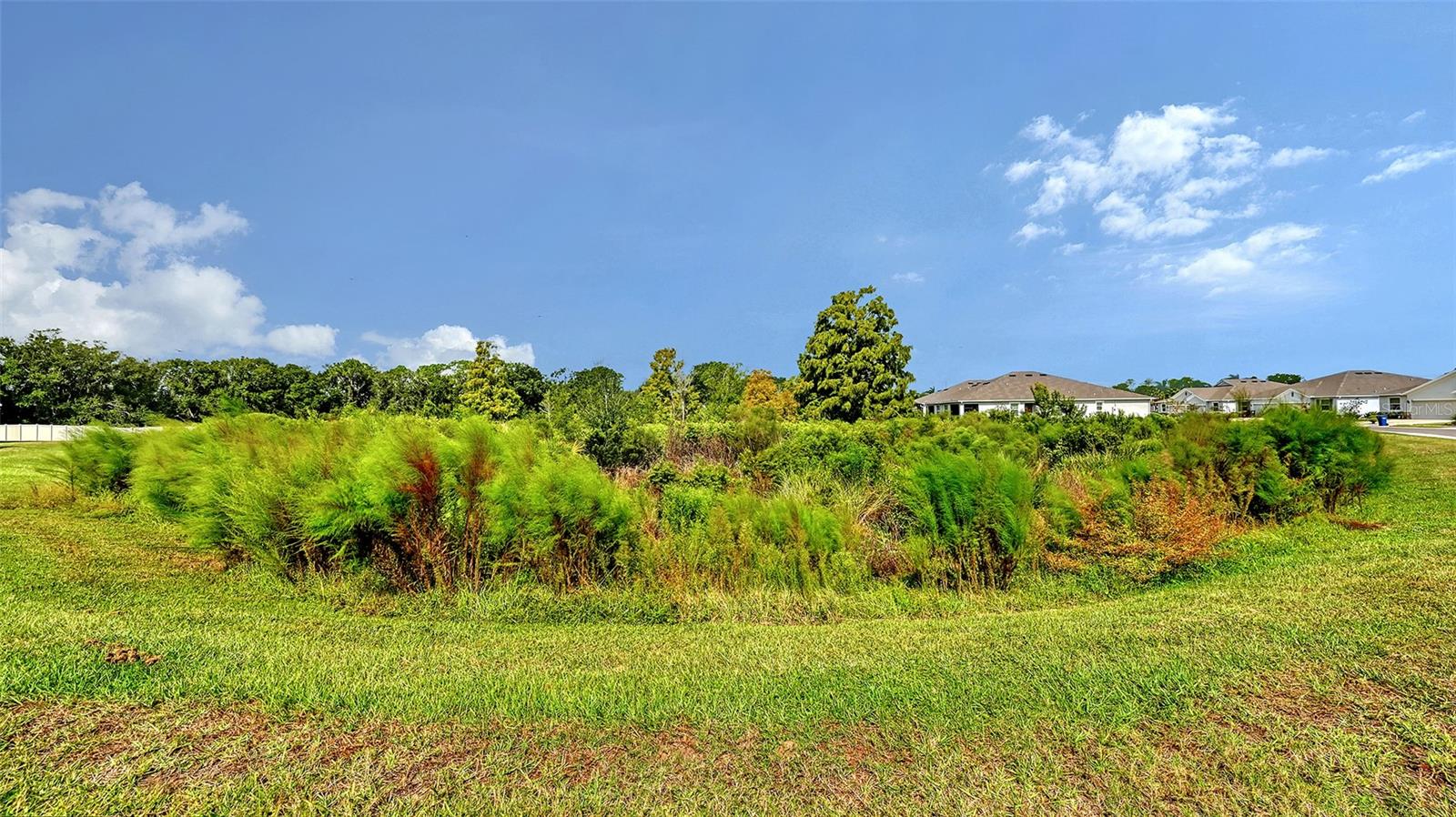 Listing Image #29