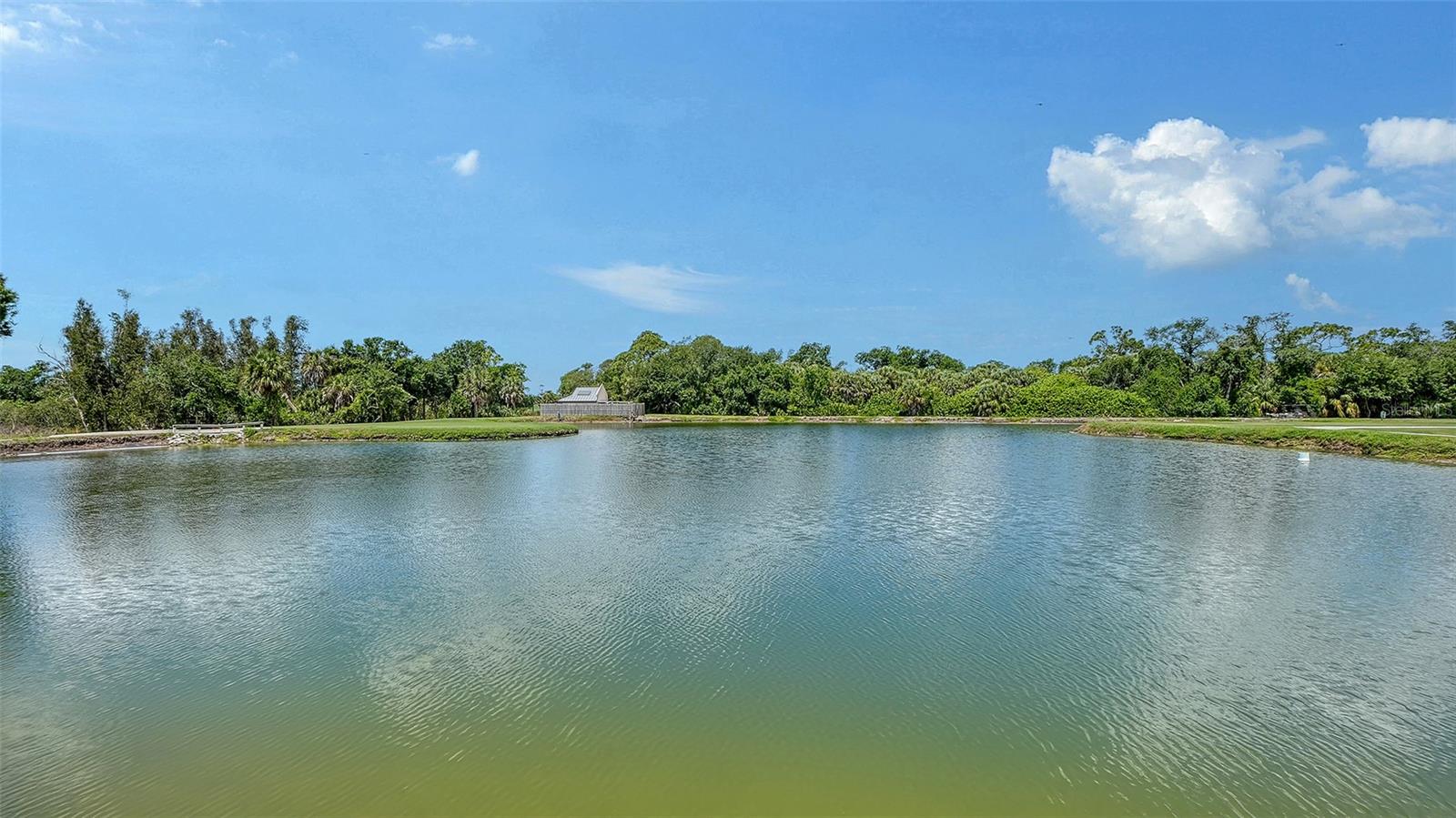 Listing Image #6