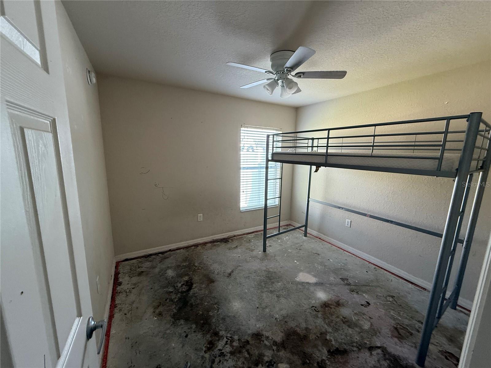 Listing Image #5