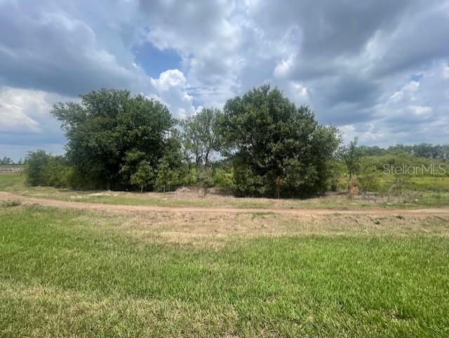 Listing Image #5