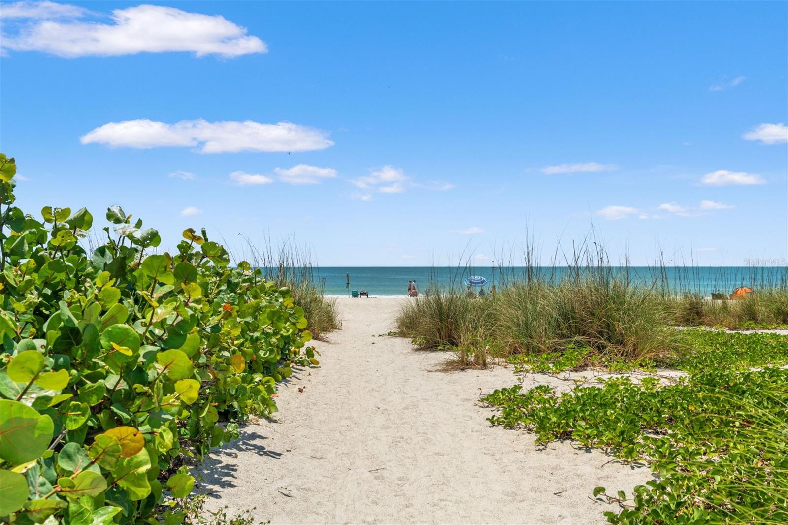 Listing Image #15