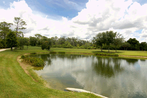 Tara Golf and Country Club real estate