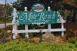 Mote Ranch real estate