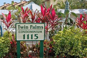 Twin Palms