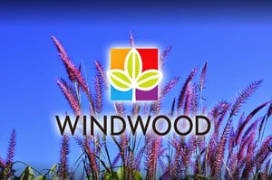 Windwood