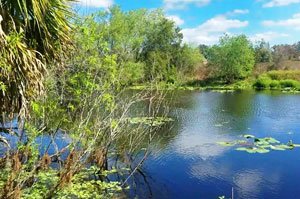 Felts Audubon Preserve