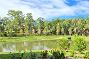 Old Forest Lakes Homes for Sale