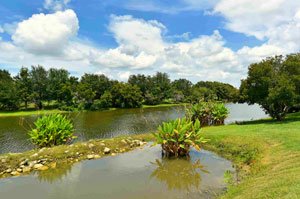 Sugar Mill Homes for Sale