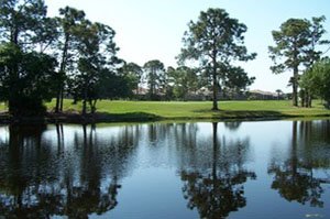 Oyster Creek Homes for Sale