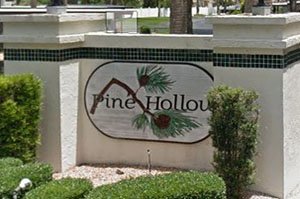 Pine Hollow Homes for Sale