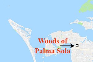 Woods of Palma Sola Homes for Sale