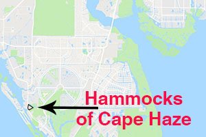 Hammocks of Cape Haze Homes for Sale