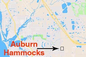 Auburn Hammocks Homes for Sale