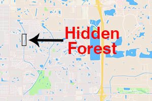 Hidden Forest Homes for Sale