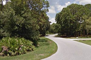Hidden Forest Homes for Sale